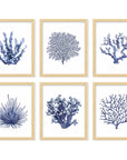 Sea Coral Wall Decor