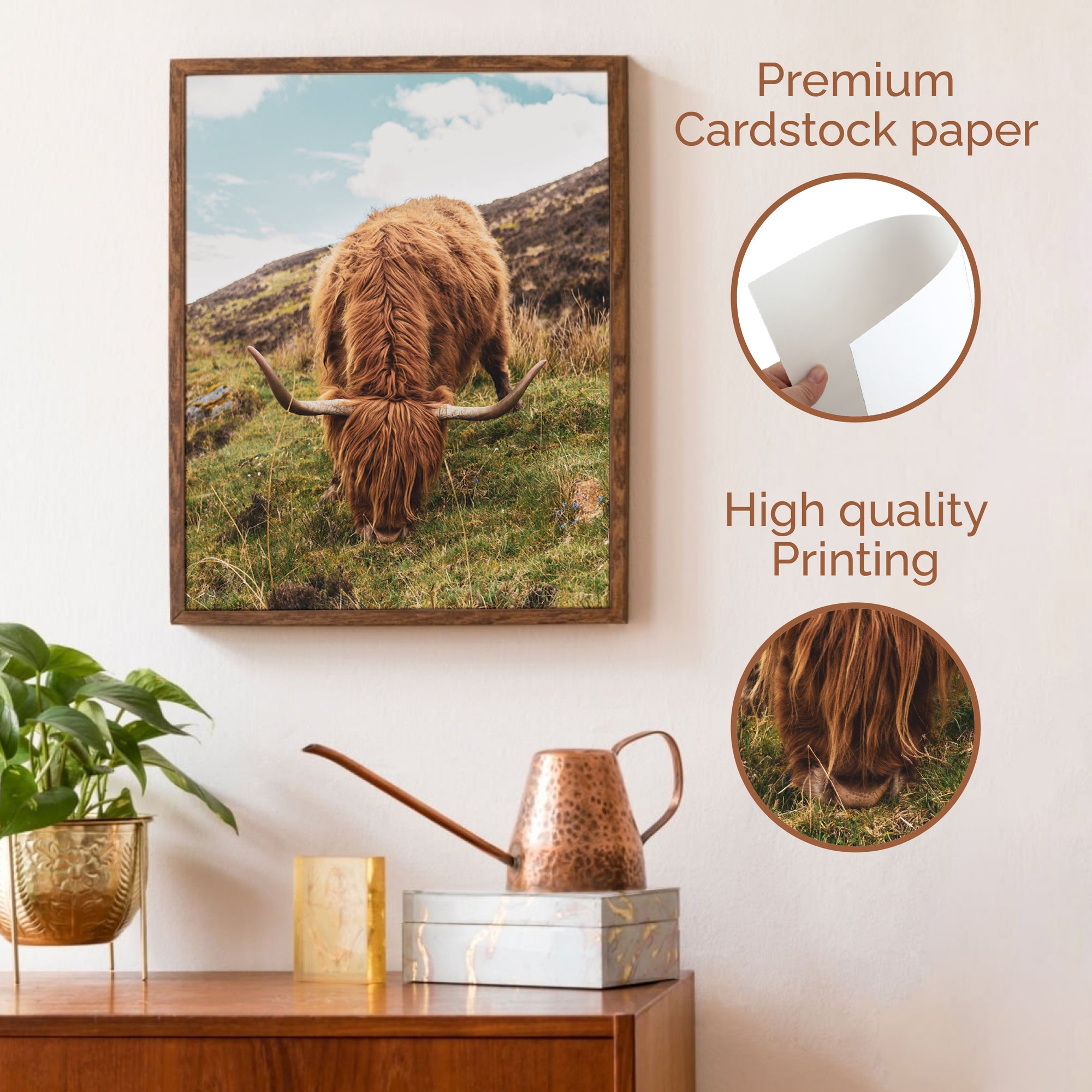 Highland Cow Poster