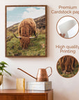 Highland Cow Poster