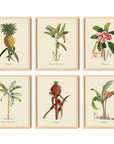 Botanical Tropical Wall Art