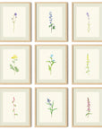 Botanical Wall Art