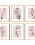 Pink Botanical Wall Art