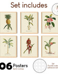 Botanical Tropical Wall Art