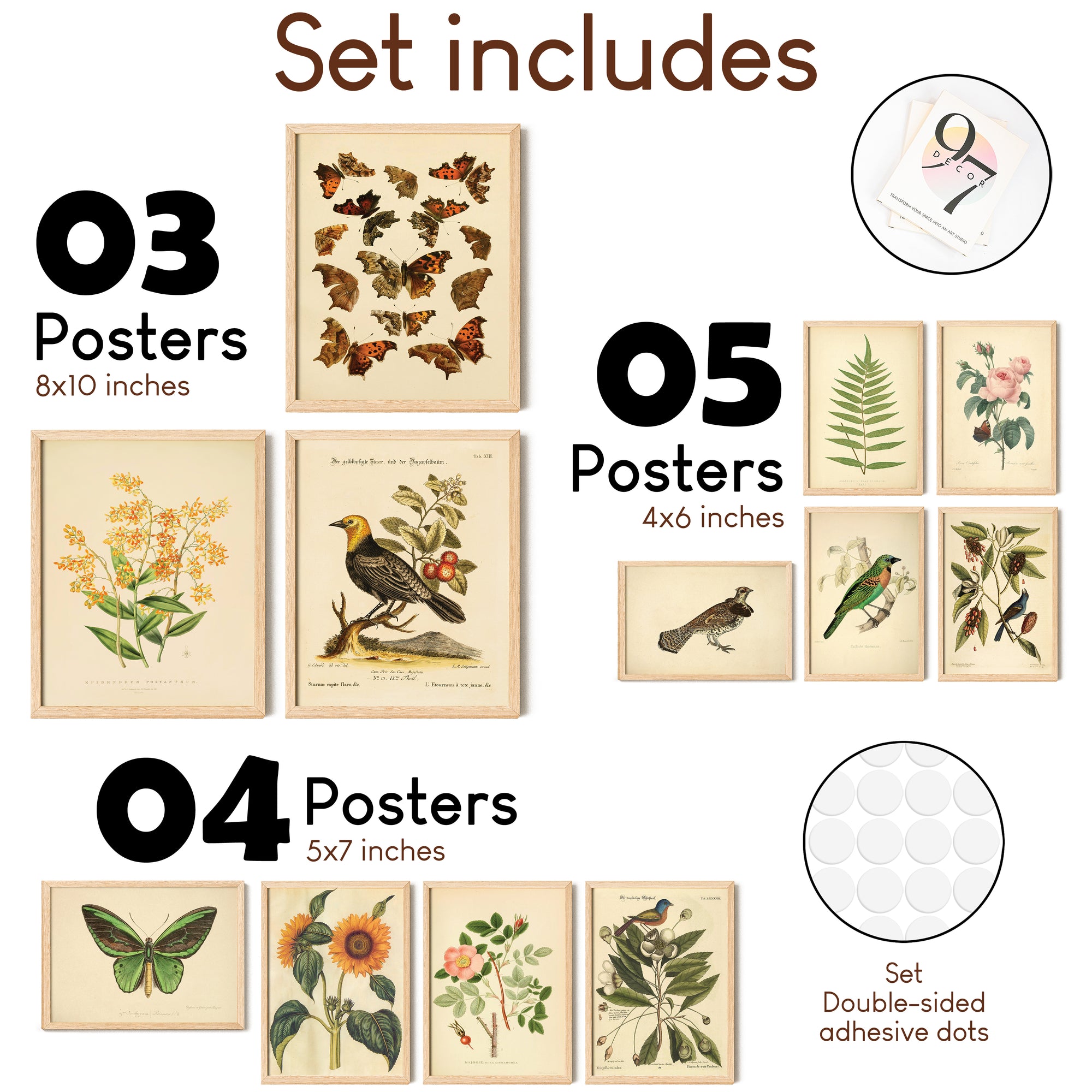 Vintage Botanical Prints