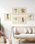 Botanical Tropical Wall Art