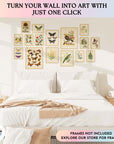 Large 11x14 Vintage Botanical Wall Art Decor