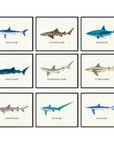 Shark Poster