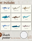 Shark Poster