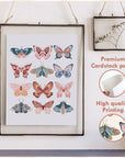 Butterfly Poster