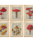 Mushroom Poster