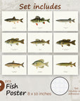 Fish Poster