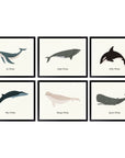 Whale Poster