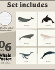 Whale Poster