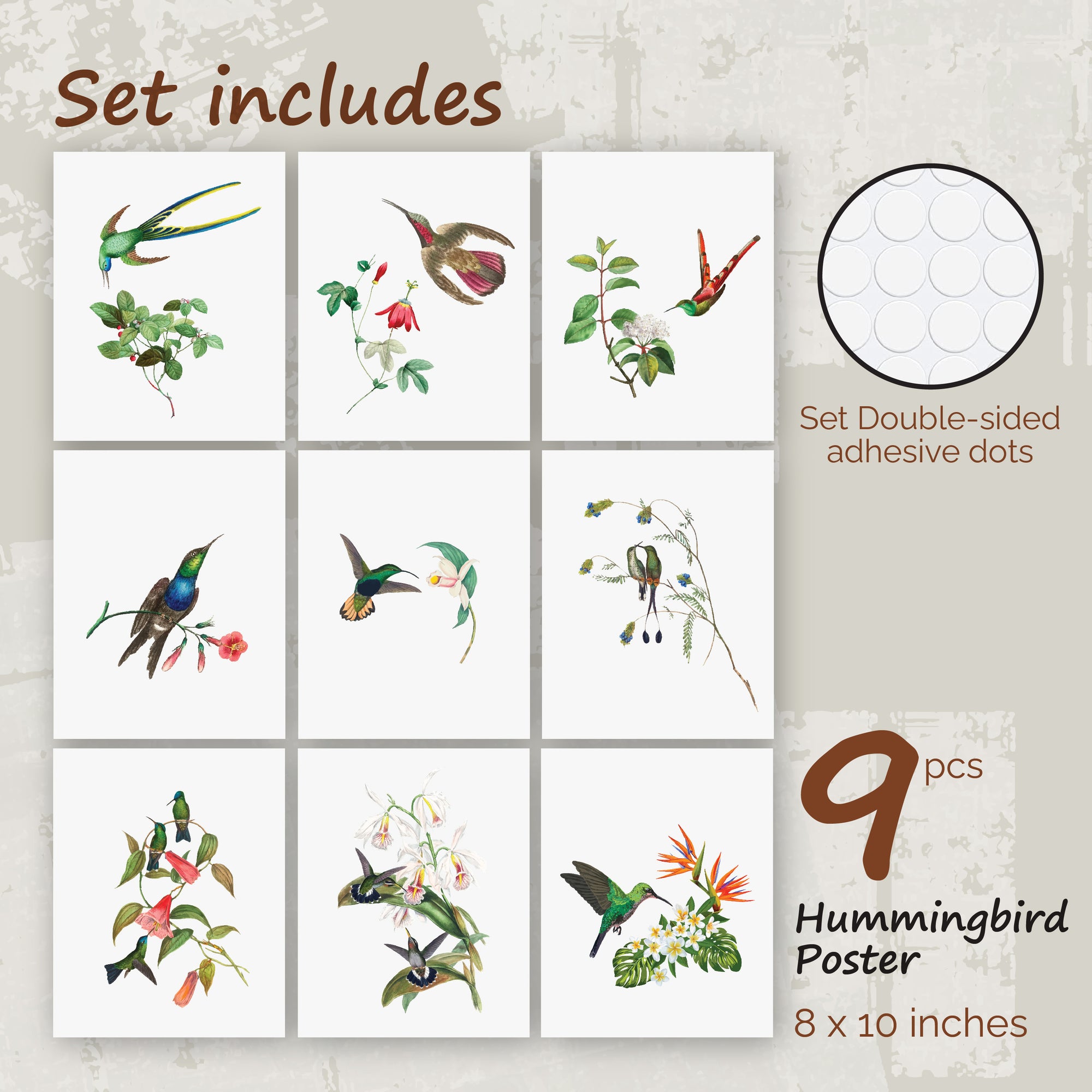 Hummingbird Poster