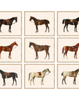 Horse Poster