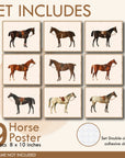 Horse Poster