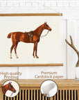 Horse Poster